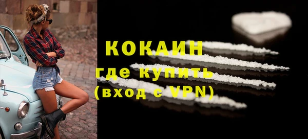прущие грибы Пролетарск