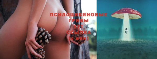 ECSTASY Бугульма
