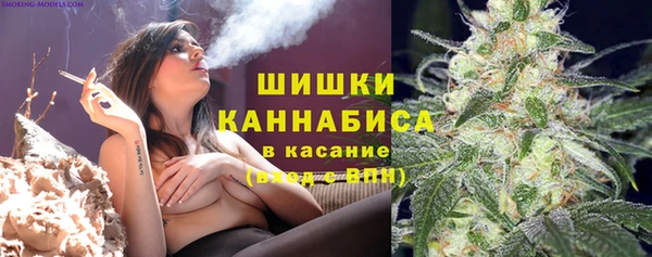 ГАЛЛЮЦИНОГЕННЫЕ ГРИБЫ Протвино